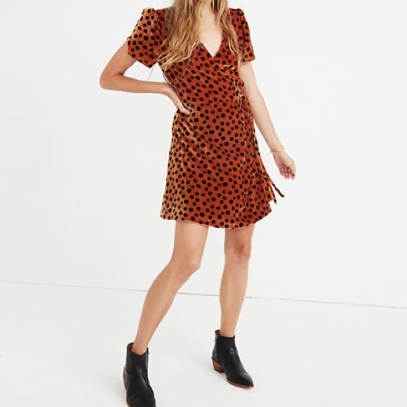 Madewell Dresses & Skirts - Madewell leopard velvet dress/ size s/ NWT